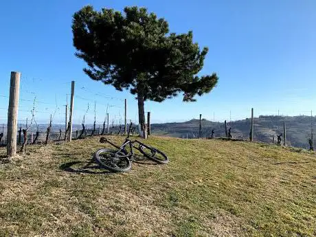 Punto Panoramico MTB Langhe Roero