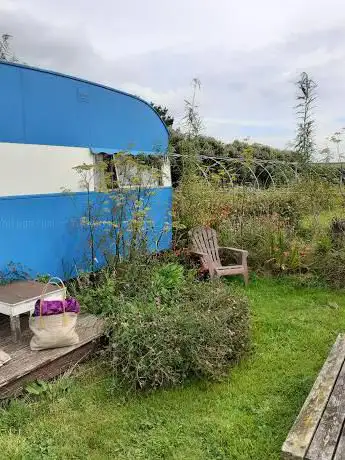 Downhill Meadow