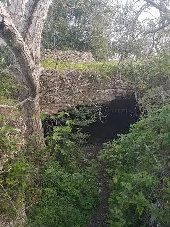 Photo de Grotta del Noce
