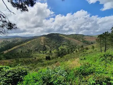 Photo de Mirador Alto Palancar