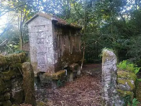 Photo de Loureiro Cotobade