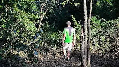 Un bosco per il domani