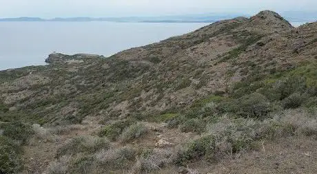 Monte Arbus 239m