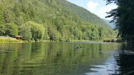 Photo de Vahrner See Liegewiese