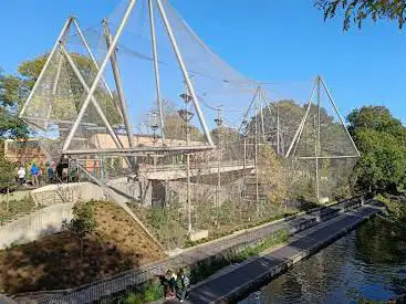 Photo de Monkey Valley - London Zoo