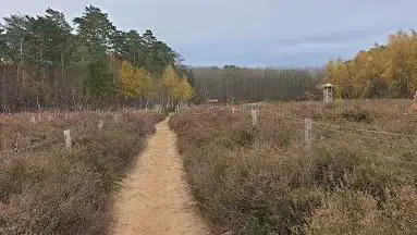 Photo de Het Kloesebos