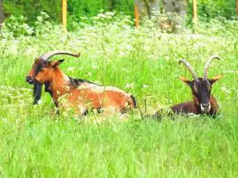 Photo de Parc de la Marnière