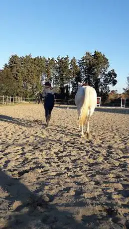 Photo de Asd Horse House