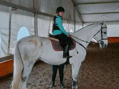 Photo de Equestrian Center Val Di Vara