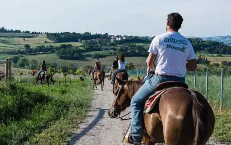 Centro Ippico Tavullia | La Teresina Ranch