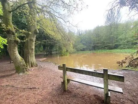 Photo de Hillditch Pool