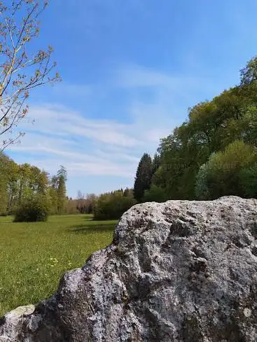 Weiher Leuzigen