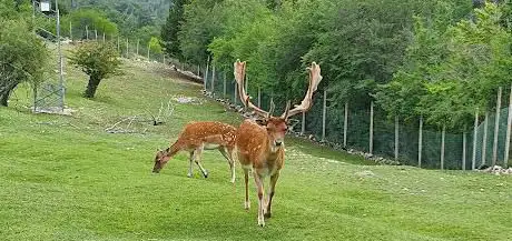 Photo de Visitor Center Daini