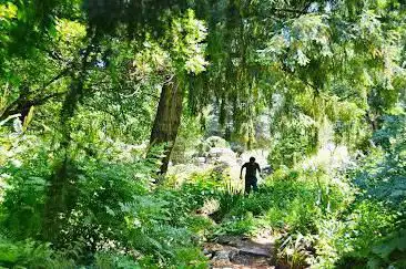Photo de Alpine Garden