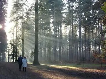Photo de Black Park Country Park