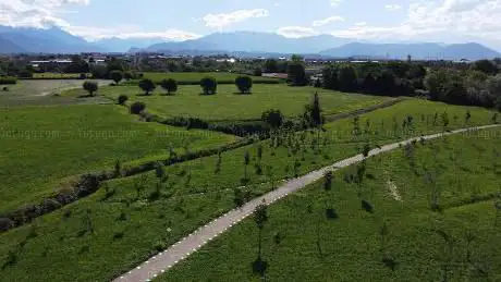 Bosco della Memoria