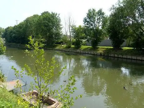 Photo de berges et marais de la lys