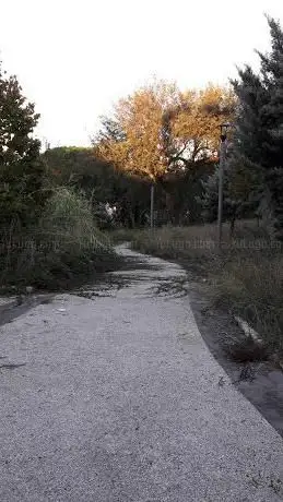 Photo de Parco Fratelli Grimm