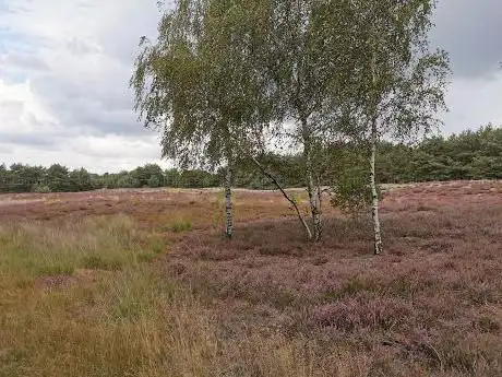 Sint-Jozefsdal