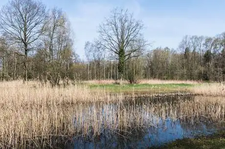 Photo de Fondatie van Boudelo