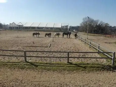 Photo de Asso Pony Club