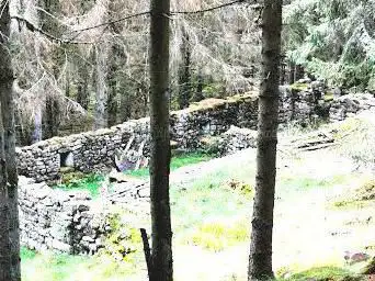 Ruines de la Marcairie