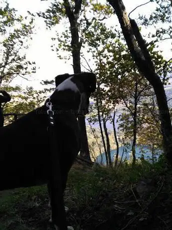 Photo de Bosco Del Vulture