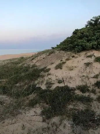 Chill Garden Beach