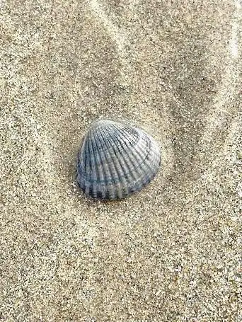 Sentier du littoral