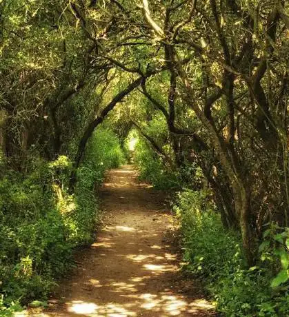 Photo de Wold Rangers Way