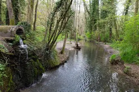 Photo de Basted Mill Woodland