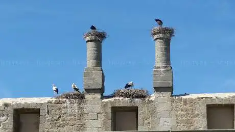 Photo de Monasterio De Las Cigüeñas