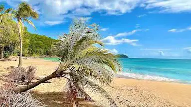 Photo de Plage de la Perle
