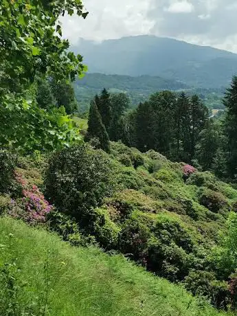 Photo de Conca dei Rododendri