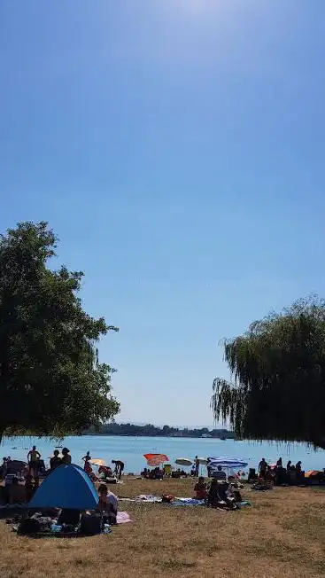 Bassin des Mouettes