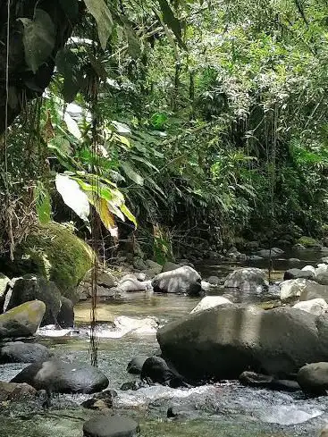 Randonnée Martinique : Trace Anse à l'Âne au four à chaux â€“ Anse Ravine â€“ Les Trois-Îlets