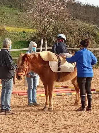 QPA Horse Riding Centre / Quinta ParaÃso Alto