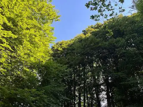 Riserva Botanica di Corna Piana
