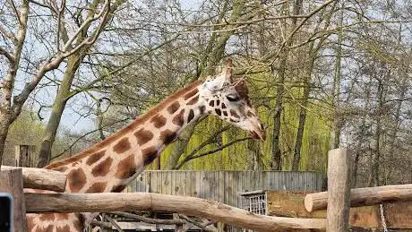 Pairi Daiza