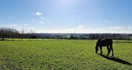 Wandelknooppunt 8