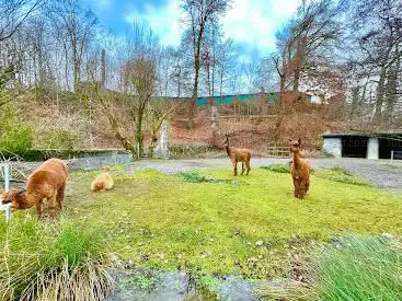 Kinderzoo im Dählhölzli Zoo