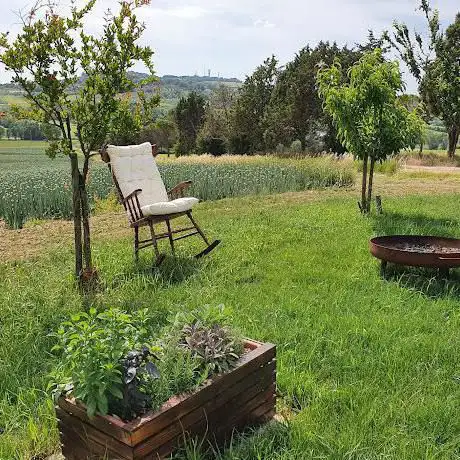 Spazio Radica