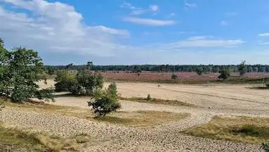 The Loonse and Drunense Duinen National Park