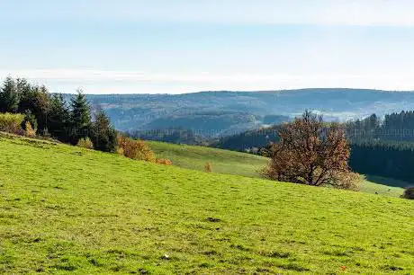 Point de vue du Pez
