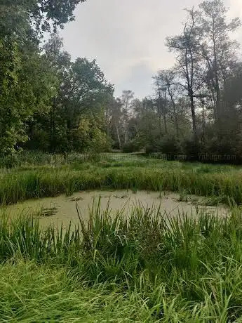 Vorsdonkbos-Turfputten