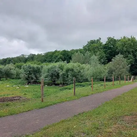 Photo de Ballade de l'ancien étang