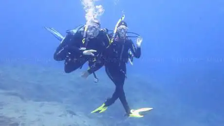Photo de Dive Academy