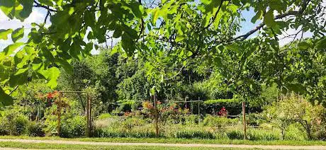 Jardins familiaux Garches