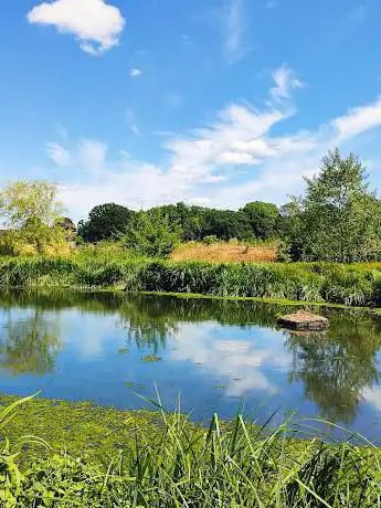 Photo de Wetlands