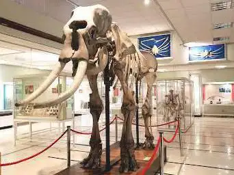 Photo de Cole Museum of Zoology